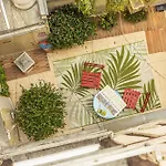 Young And Happy Latin Quarter By Hiphophostels